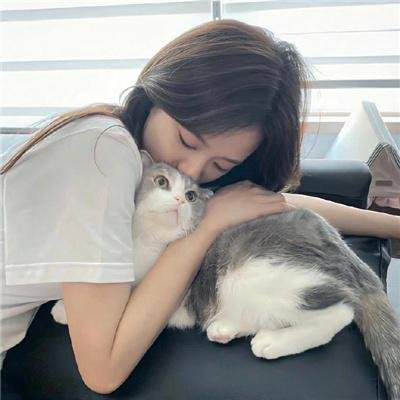命运探索者